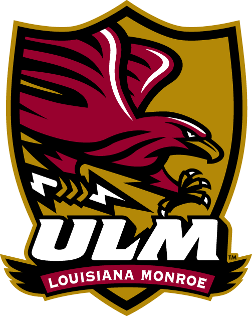 Louisiana-Monroe Warhawks 2006-Pres Alternate Logo v3 diy iron on heat transfer